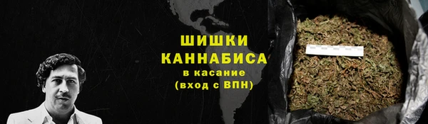 гашик Белокуриха