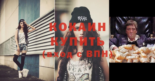 гашик Белокуриха