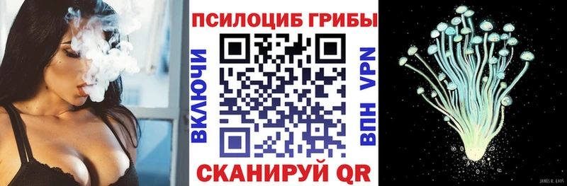 Галлюциногенные грибы Magic Shrooms  Городовиковск 